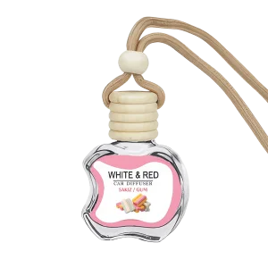 خوشبوکننده ماشین رایحه Gum