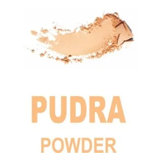 اسپری خوشبوکننده هوا Powder 420