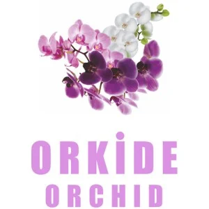 خوشبوکننده ماشین رایحه Orchid