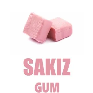 اسپری خوشبوکننده هوا Gum 500