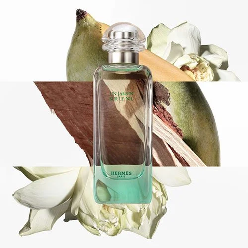 خرید و قیمت پرفیوم Hermes Un Jardin Sur Le Nil