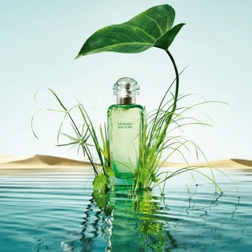 خرید و قیمت پرفیوم Hermes Un Jardin Sur Le Nil