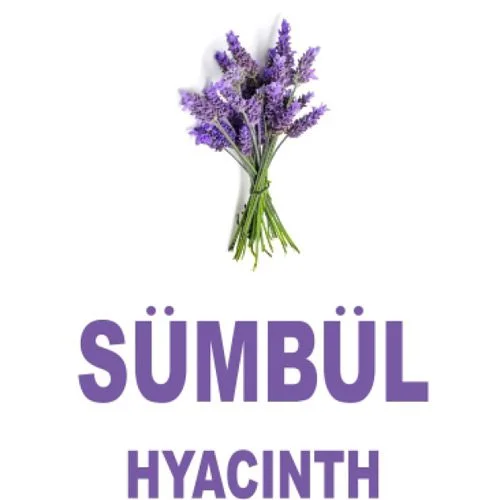 خرید و قیمت خوشبوکننده ماشین رایحه Hyacinth