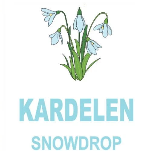خرید و قیمت اسپری خوشبوکننده هوا Snow Drop 420