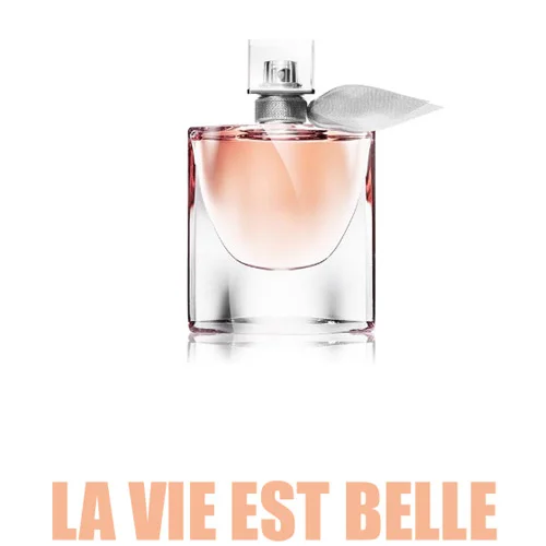 خرید و قیمت خوشبوکننده محیط رایحه La Vie Est Belle