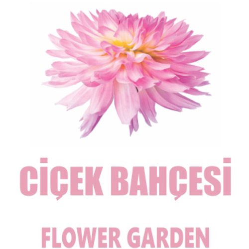 اسپری خوشبوکننده هوا Flower Garden 500