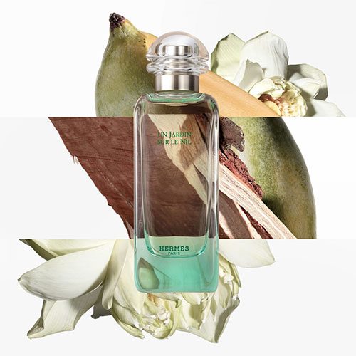 خرید و قیمت H110 پرفیوم Hermes Un Jardin Sur Le Nil