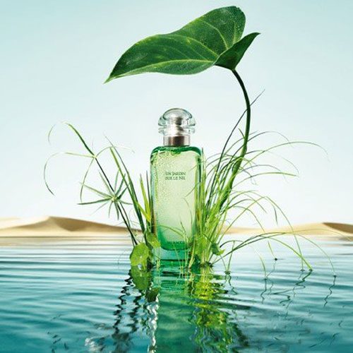 خرید و قیمت H110 پرفیوم Hermes Un Jardin Sur Le Nil