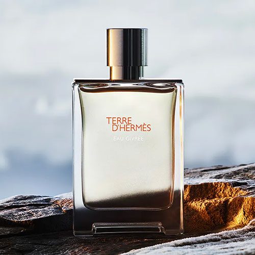 خرید و قیمت H90 پرفیوم Hermes Terre d’Hermes