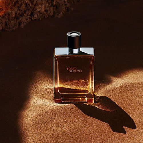خرید و قیمت H90 پرفیوم Hermes Terre d’Hermes