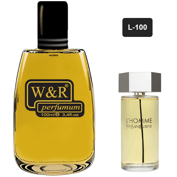 خرید و قیمت L100 پرفیوم Yves Saint Laurent L’Homme