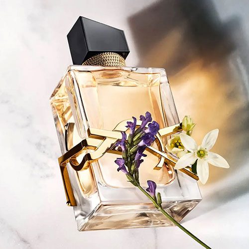 خرید و قیمت M110 پرفیوم Yves Saint Laurent Libre