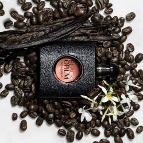 خرید و قیمت Y10 پرفیوم Yves Saint Laurent Black Opium