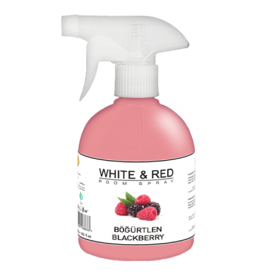 خرید و قیمت اسپری خوشبوکننده هوا BlackBerry 500