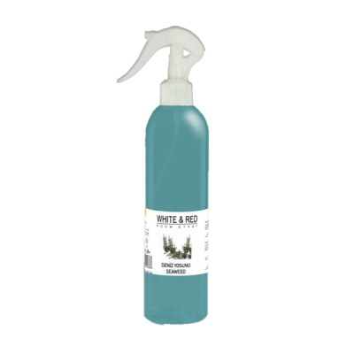 خرید و قیمت اسپری خوشبوکننده هوا Seaweed 420