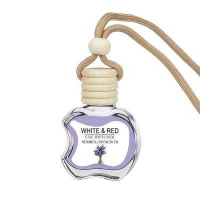 خرید و قیمت خوشبوکننده ماشین رایحه Hyacinth