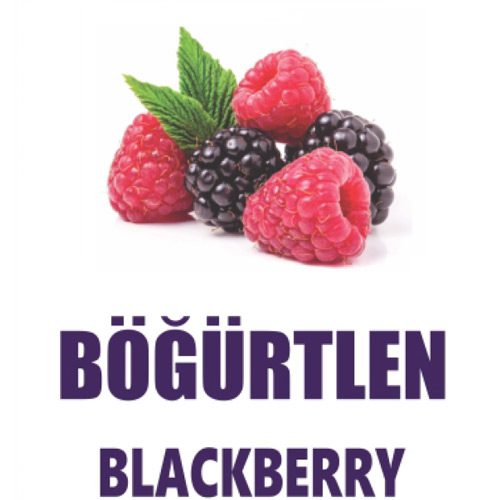 اسپری خوشبوکننده هوا BlackBerry 500