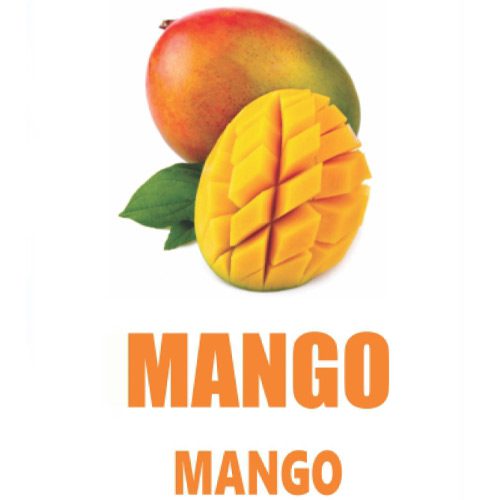 اسپری خوشبوکننده هوا Mango 500