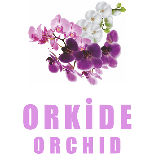 اسپری خوشبوکننده هوا Orchid 420