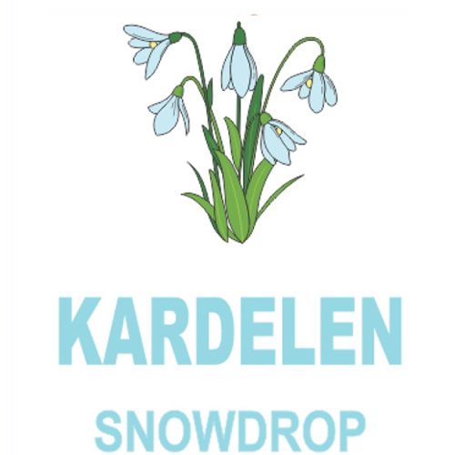 اسپری خوشبوکننده هوا Snow Drop 420